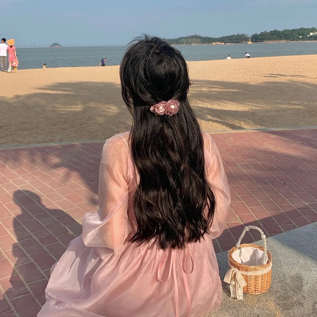 克努特和它的朋友们